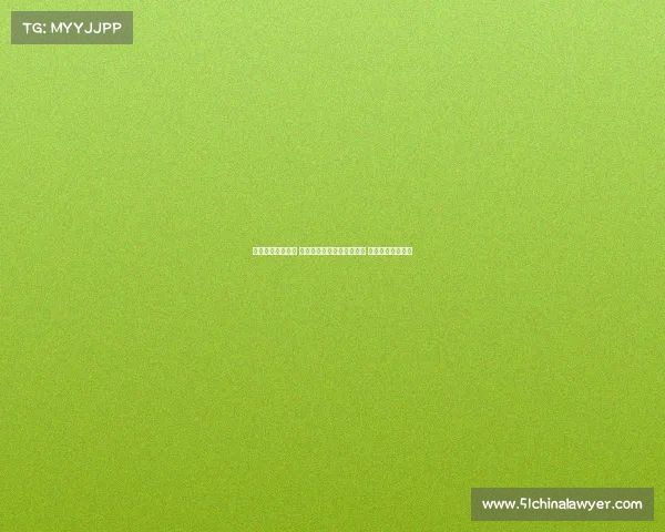 网球赛事激战正酣 世界顶级球员争夺冠军荣耀 持续上演精彩对决